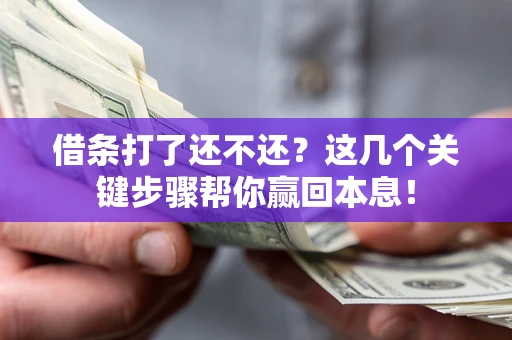 武汉借条打了还不还？这几个关键步骤帮你赢回本息！
