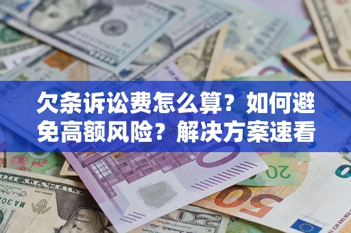 武汉欠条诉讼费怎么算？如何避免高额风险？解决方案速看！