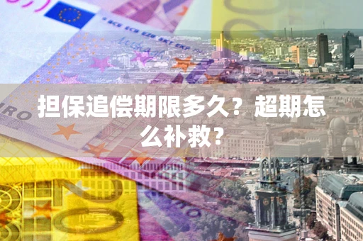 武汉担保追偿期限多久？超期怎么补救？