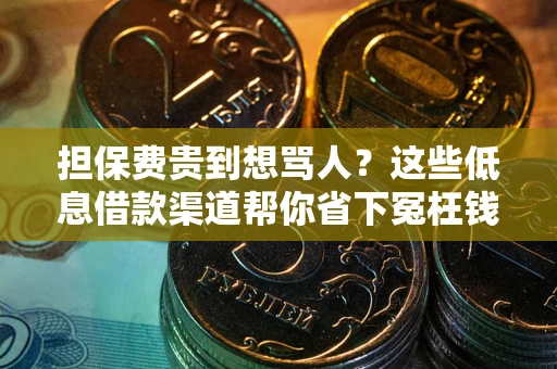 武汉担保费贵到想骂人？这些低息借款渠道帮你省下冤枉钱