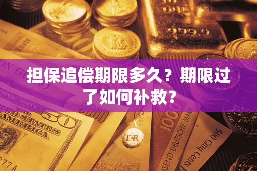 武汉担保追偿期限多久？期限过了如何补救？
