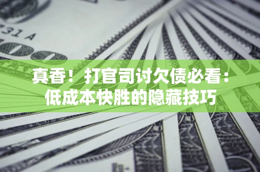 武汉真香！打官司讨欠债必看：低成本快胜的隐藏技巧