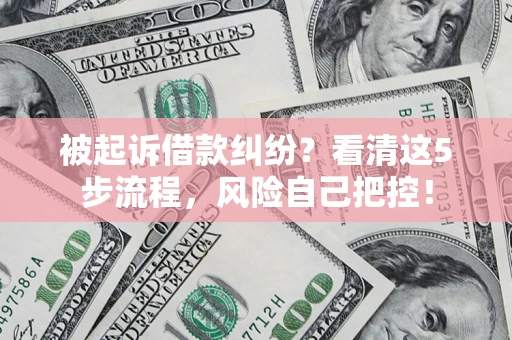 武汉被起诉借款纠纷？看清这5步流程，风险自己把控！